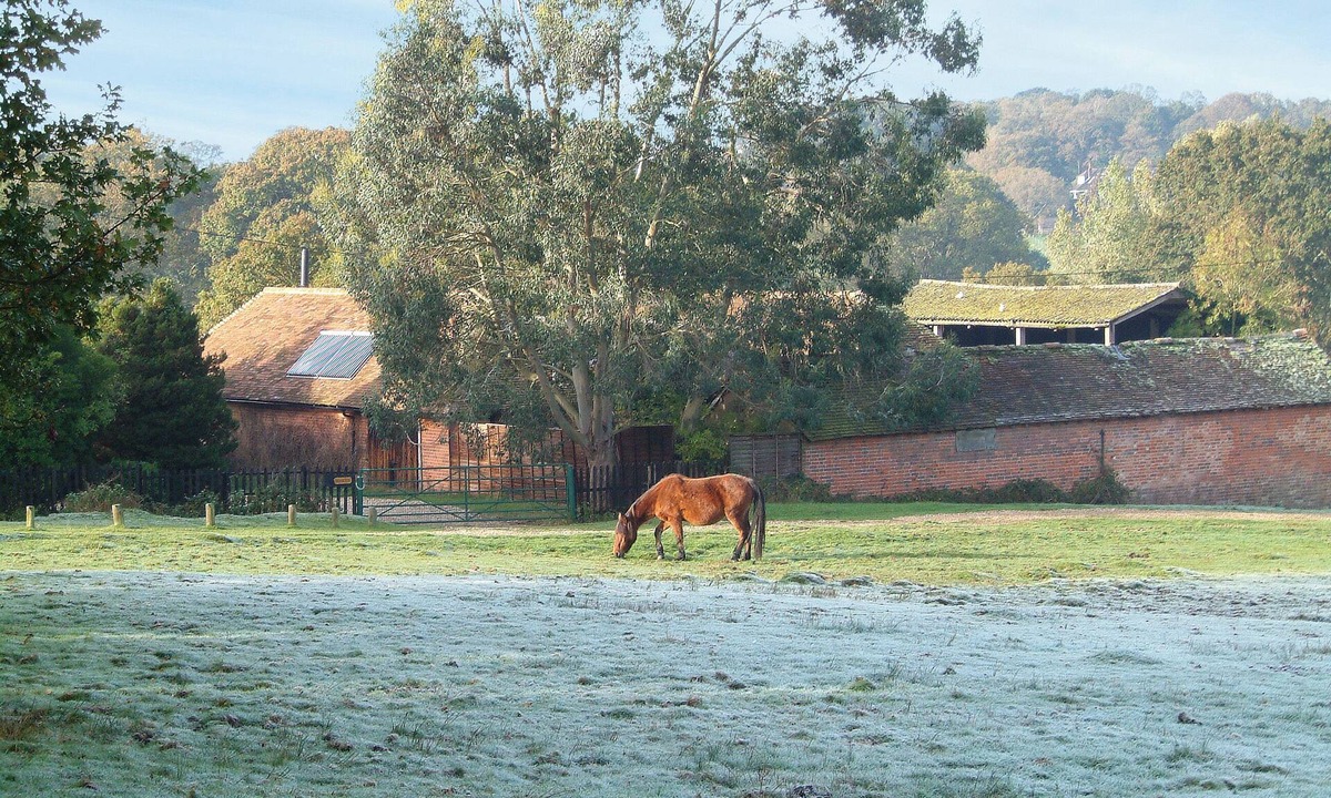 New Forest District Cottage | 2 bedroom accommodation in Shobley, Ringwood