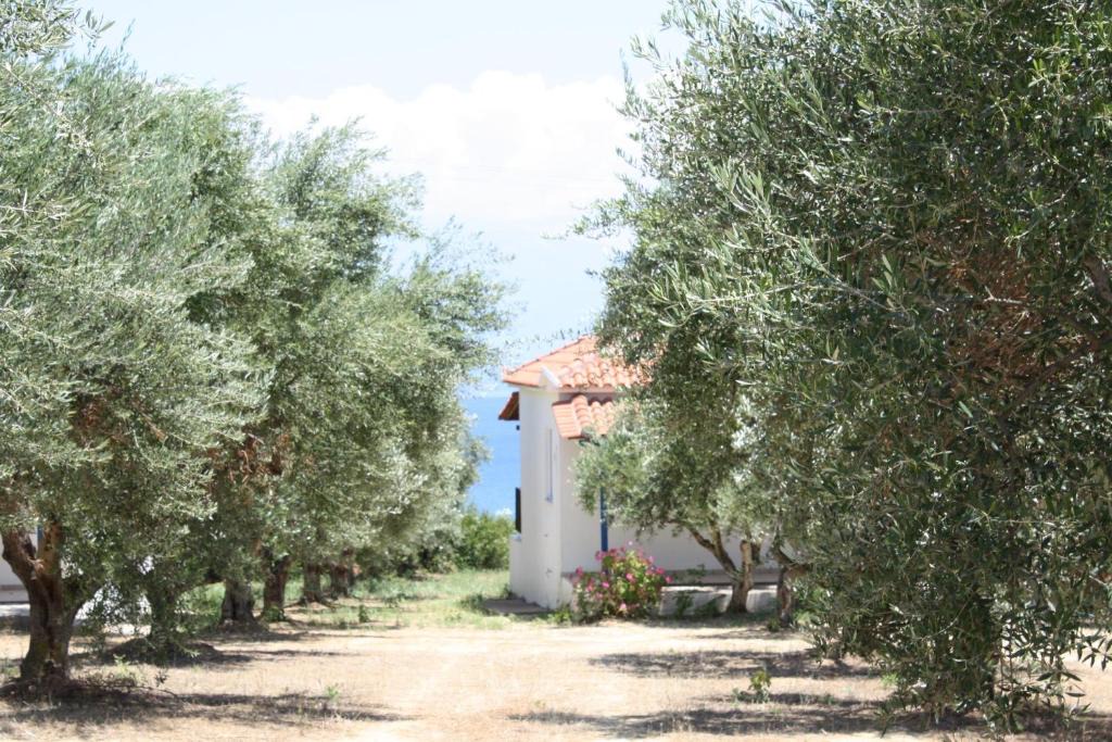 Kompi House | AGGELIKI 5