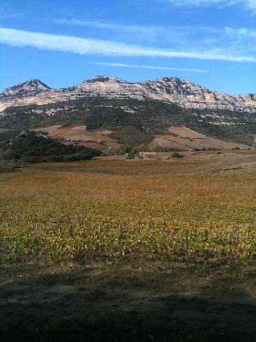 Patrimonio Apartment | Agréable Location au coeur du vignoble DOMINICI THERESE