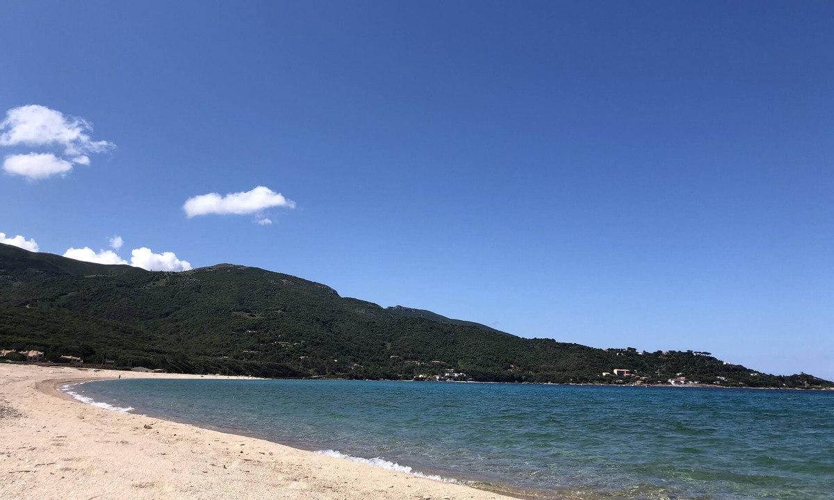 Tiuccia Apartment | Apartment F3 air-conditioned 3mn walk from the beach large garden property digicode