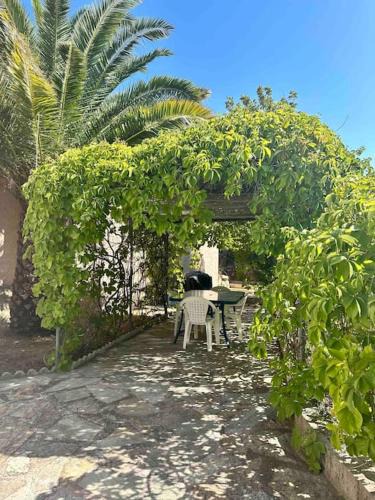Aregno Apartment | Appartement en rez de villa
