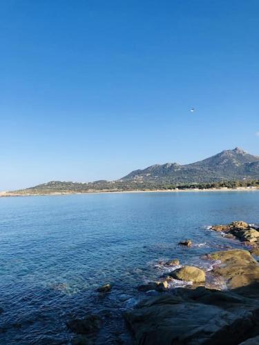 Aregno Apartment | Appartement proche de la plage d'Algajola