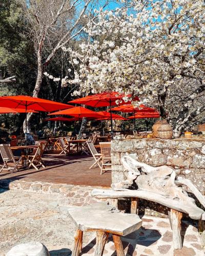 Calenzana Hotel | Auberge De La Foret Bonifatu