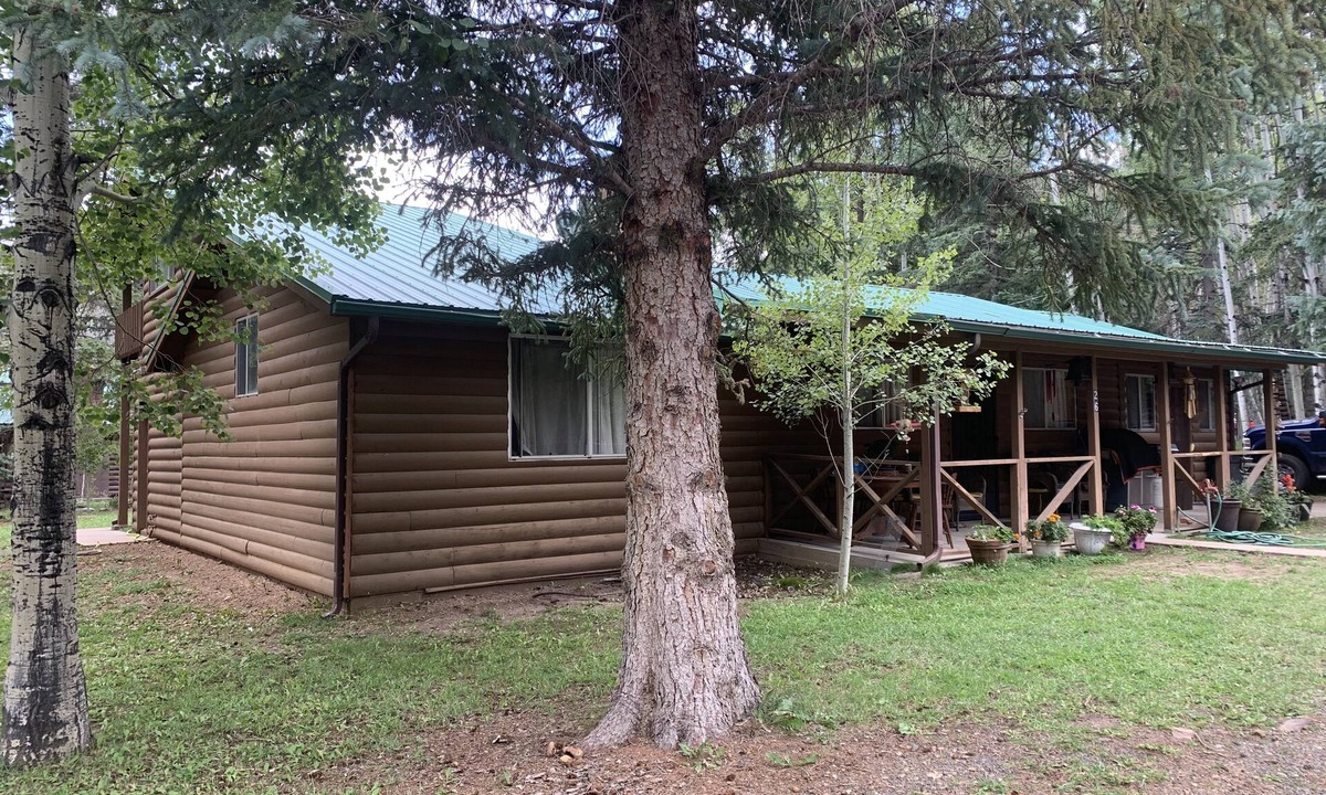 Greer Cabin | Bearcat Cabin located in the heart of Greer