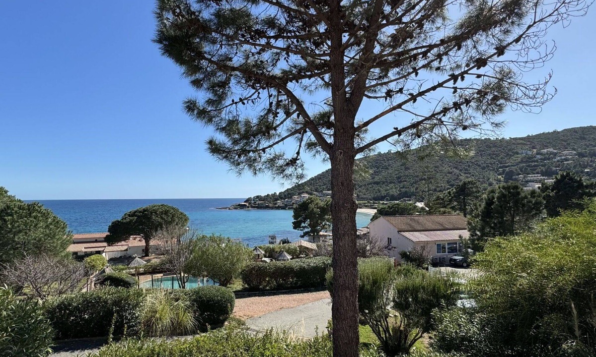 Tarcu Apartment | Beautiful apartment for 6 people with WIFI, A/C, pool, terrace, pets allowed and panoramic view