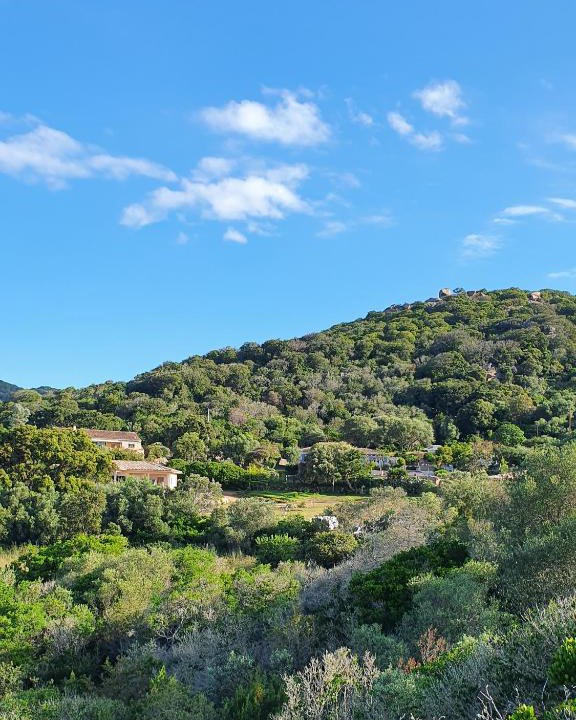 Santa Giulia Apartment | Bel appartement dans hameau calme