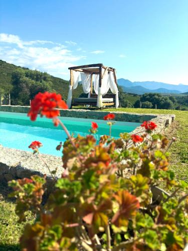 Calenzana Villa | Bergerie de Charme Pedi Lione