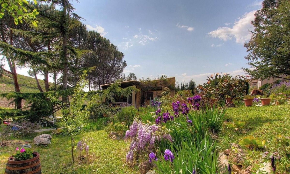 Valpaja House | Birds of Paradise