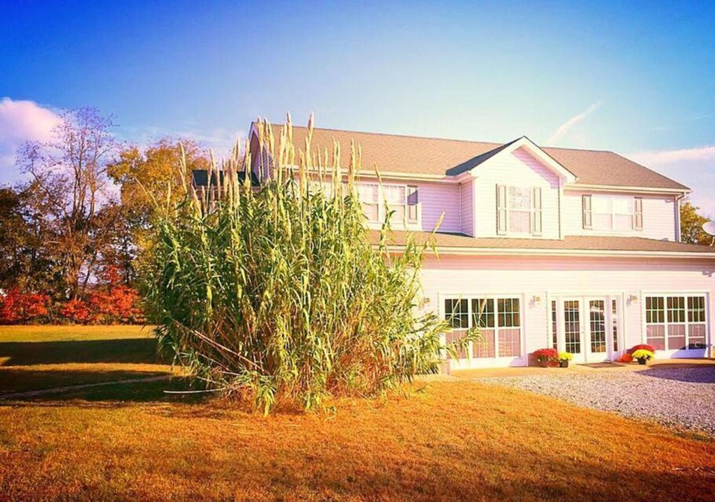 Bowling Green Apartment | Bowling Green Kentucky Country Family Getaway!