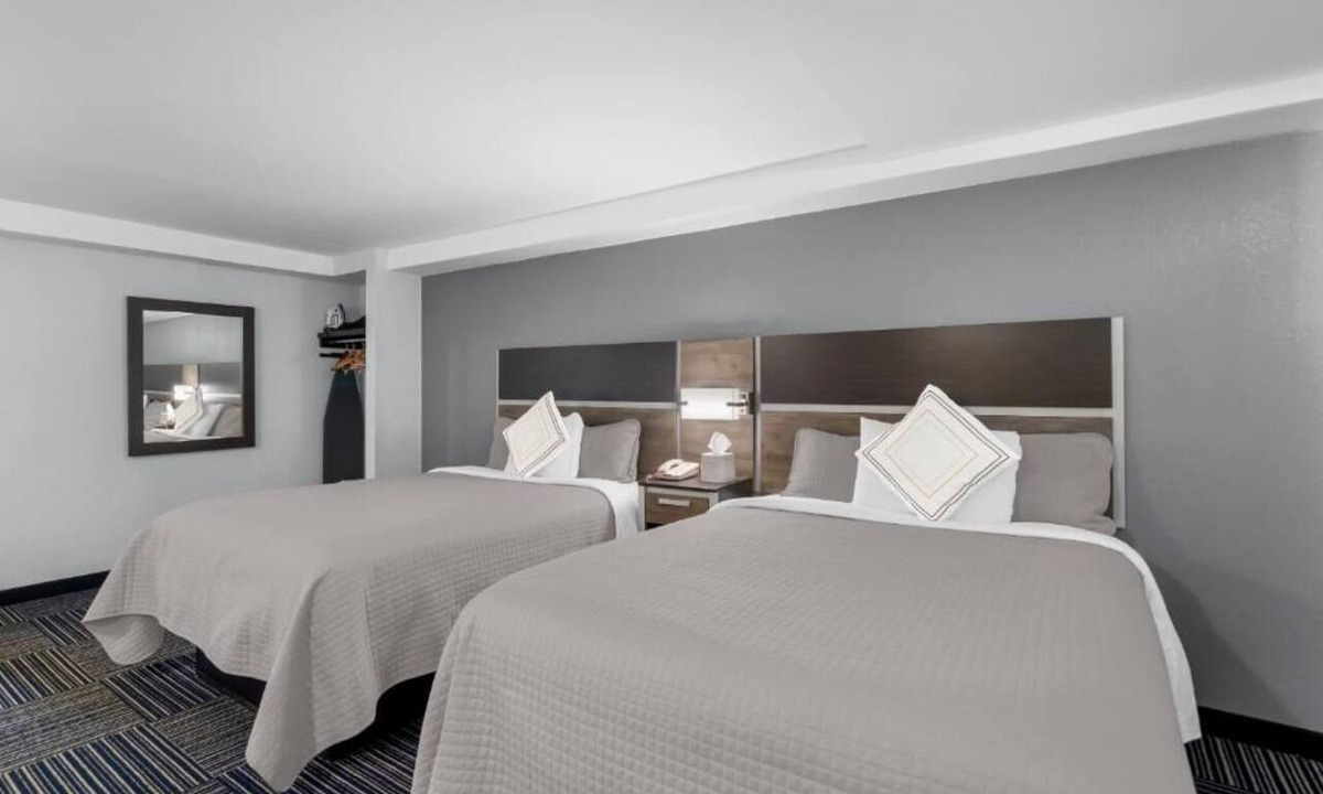 Teaticket Hotel | Cape Cod Charm on a Budget – 2 Pet-friendly Rooms Near Beach, Ferry & Dining