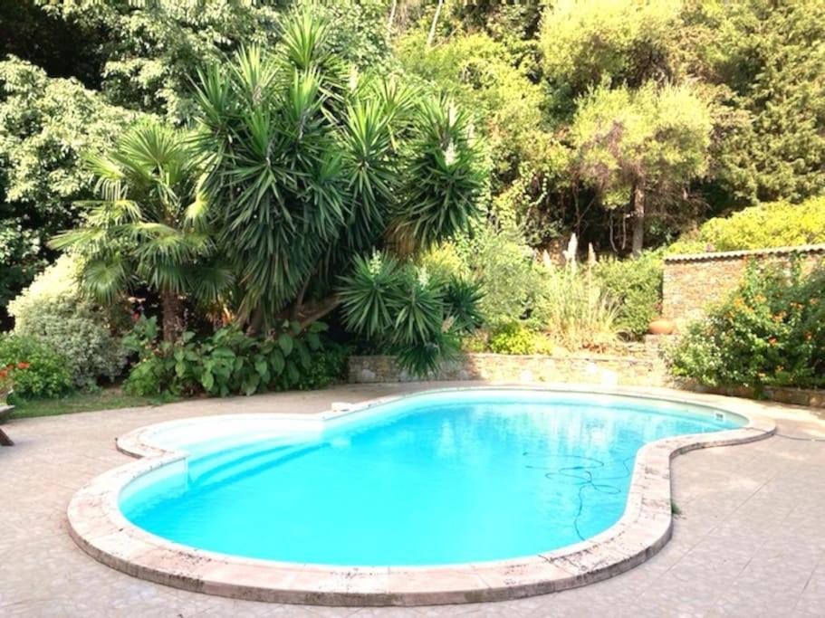Bastia Villa | Casa Galli- Belle villa coeur de ville avc piscine