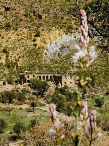 La Taha House | Casa Lucía - Off grid vakantiehuisje - Puerto Mika