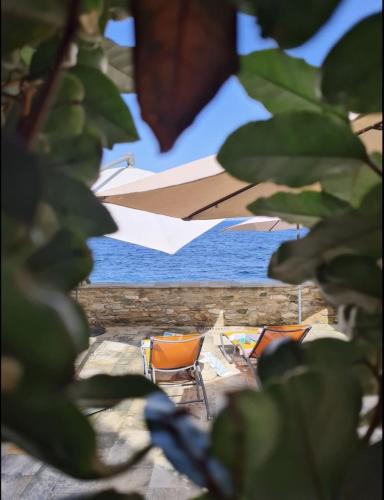 Erbalunga Apartment | Casa Torra d'Erbalunga