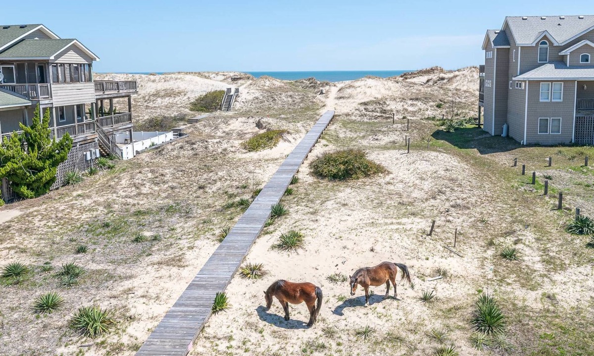 Carova Beach House | Cavallo Dunes - 4x4 Carova Beach, Oceanfront, Ocean View, Hot Tub, Pets OK, Year Round Flex Stays
