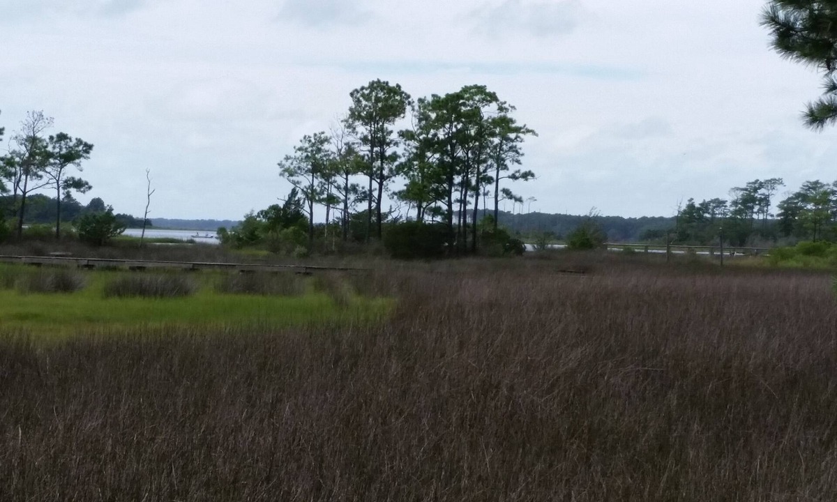 Beaufort House | Charming 3 bedroom retreat on North Leopard Creek near Beaufort, NC