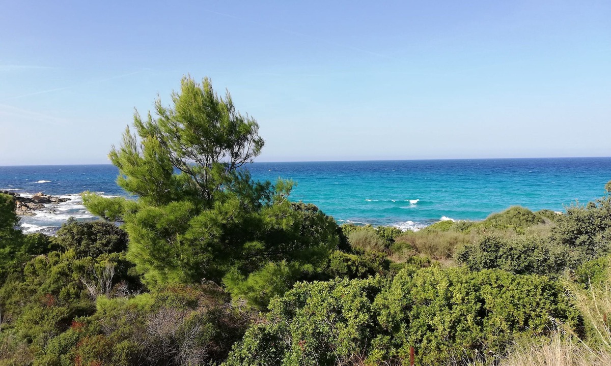 Lozari Condo | Charming air-conditioned accommodation Communal swimming pool 4 people