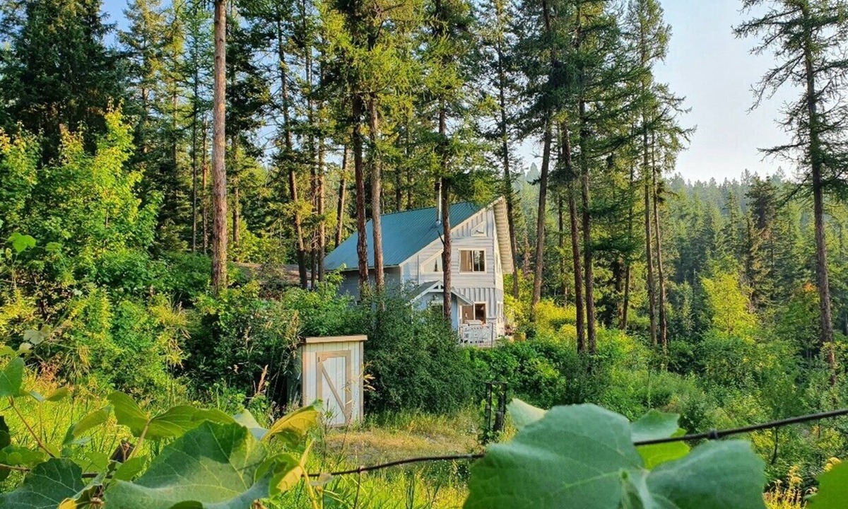 Dayton House | Charming house with orchard and pond close to Flathead Lake