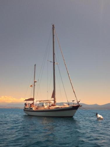 Porto-Vecchio Boat Rental | Chino TAWN