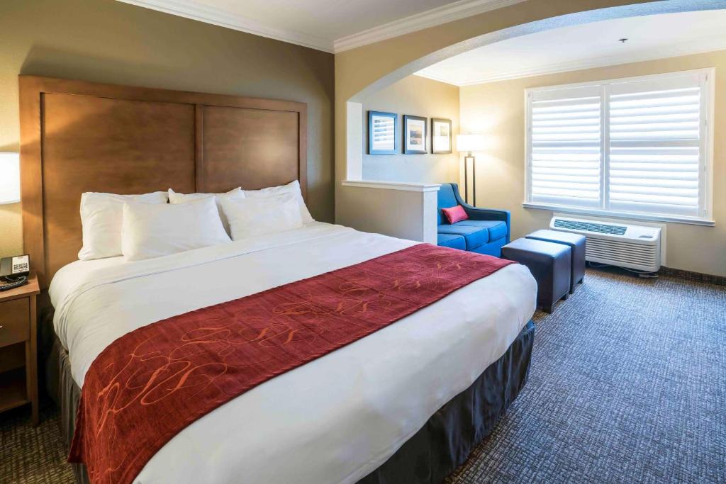 Raisin Hotel | Comfort Suites Fresno River Park