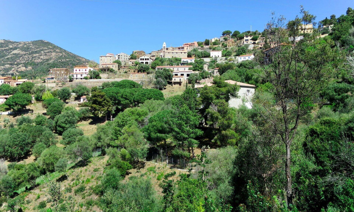 Partinello Apartment | Cosy apartment for 4 people with WIFI, A/C, TV, patio, pets allowed and panoramic view