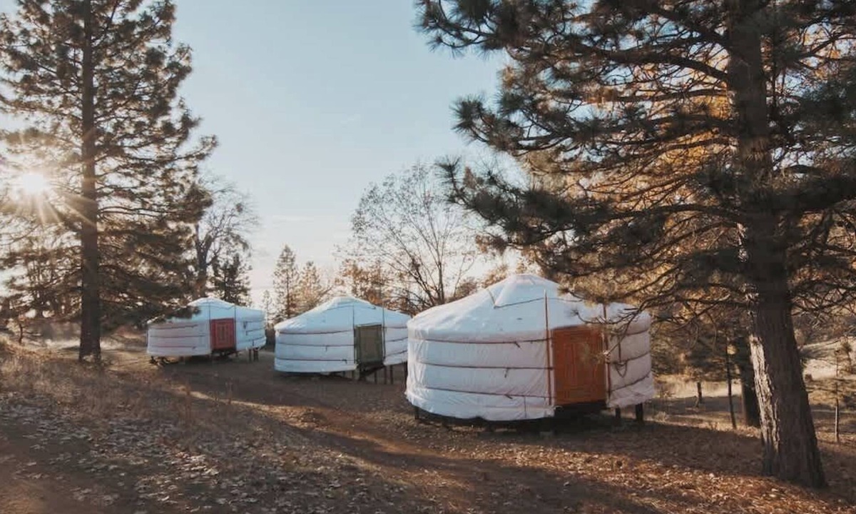 Dunlap House | Cosy yurt at a nature retreat