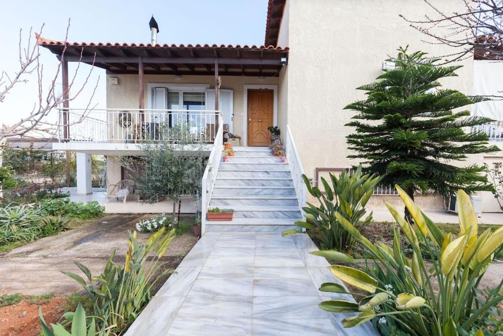 Markopoulo Mesogaias Villa | Country Rooms near Athens - Airport