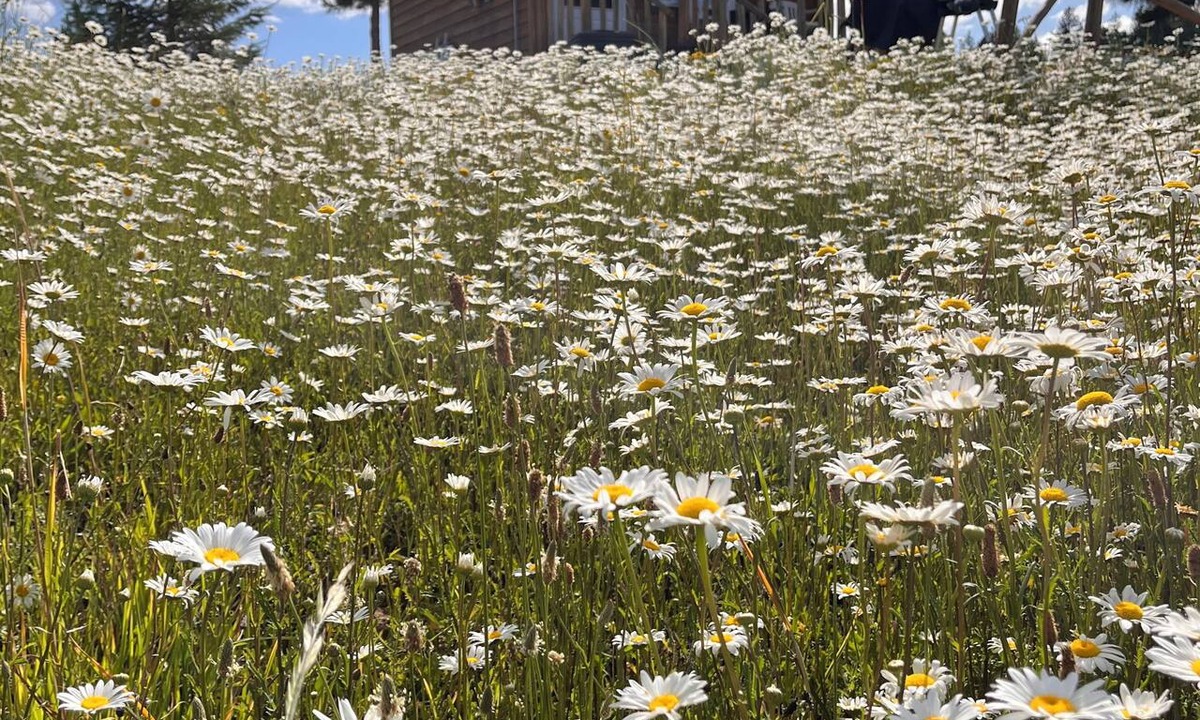 Ahsahka Cabin | Cozy 2-bedroom cabin in peaceful Lenore with AC