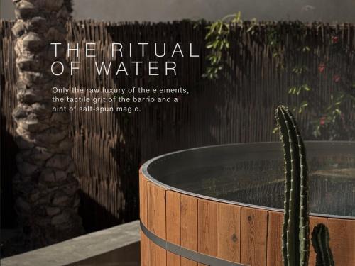 Downtown Tucson Apartment | Curated Barrio Stay with Salt-Spun Magic Debut Mid March