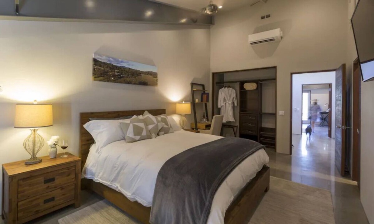 Wilbur Springs Apartment | Deluxe King Room on Winery & Vineyard Property
