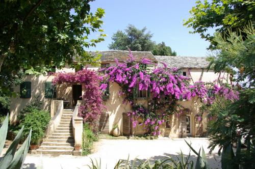 Querciolo Bed & Breakfast | Domaine de Valle