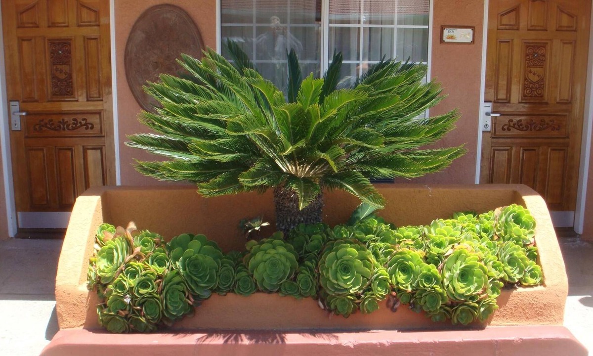 Los Banos Hotel | Economy Inn