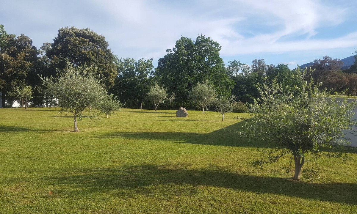 Cervione Villa | Exceptional luxury villa set in 5 hectares of wooded parkland.