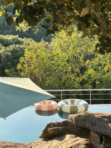 Pietrosella Apartment | Former Chestnut Drier Near Ajaccio