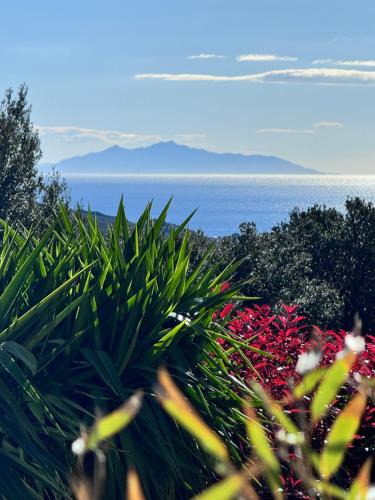 Sisco Apartment | Gîte indépendant dans villa entre mer et maquis