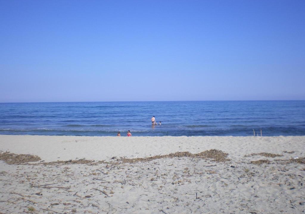 Ventiseri Apartment | gîtes de corse