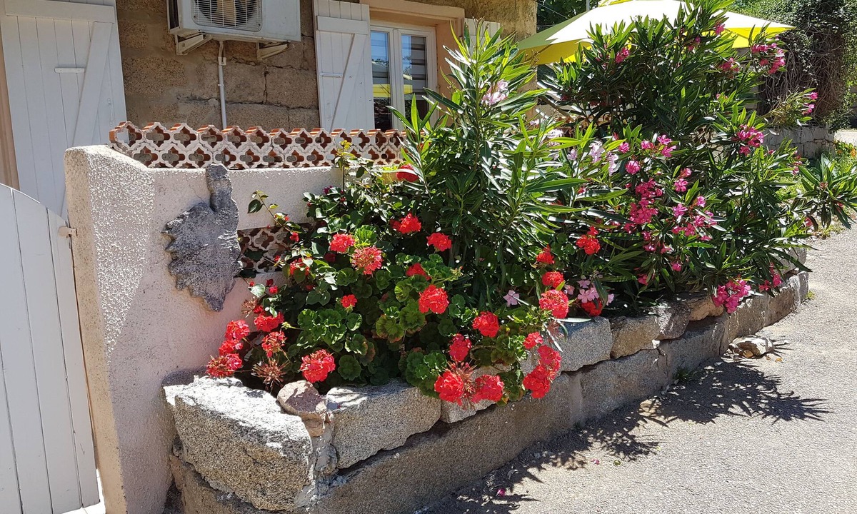 Monacia-d'Aullene House | Garden level in typical Corsican house Monacia d'Aullène