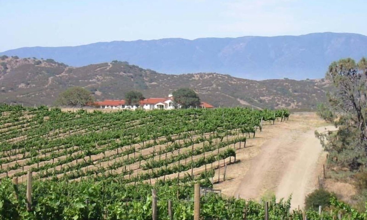 Soledad House | Gated Mediterranean villa surrounded by vineyards near Pinnacles National Park.