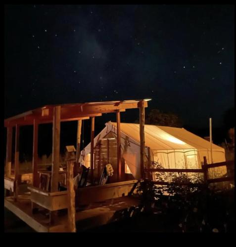 Virgin Other | Glamping at Zion on the 9 The Dirty Dog
