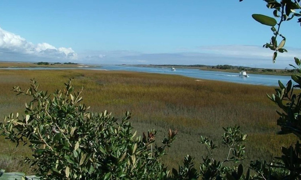 Isle of Palms Cottage | Goat Island Getaway 2 Bedroom Island Cottage Accessible by Boat