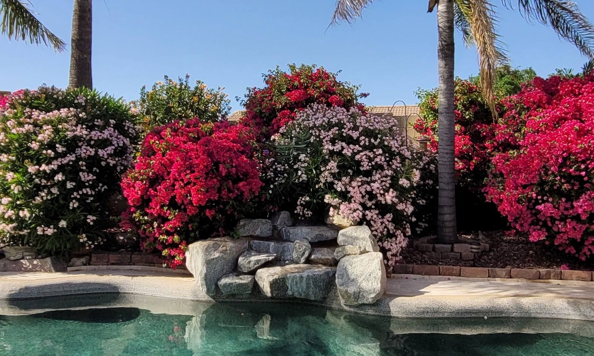 Gold Canyon House | Gold Canyon AZ Desert Paradise, Heated Private Pool/Spa, Mt Views, Golf/Hiking