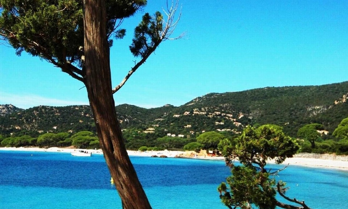 Pinarellu Apartment | Holiday apartment Ste Lucie de Porto Vecchio for 1 - 2 persons with 1 bedroom - Holiday apartment