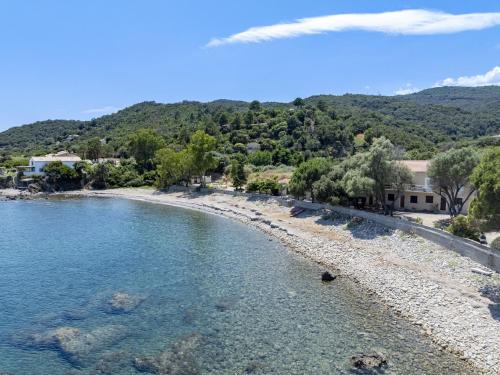 Sari-Solenzara House | Holiday Home Signoria by Interhome