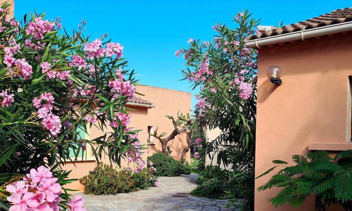 Poggio-Mezzana Apartment | Homerez - 100 m away from the beach! Amazing studio for 2 ppl. at Poggio-Mezzana