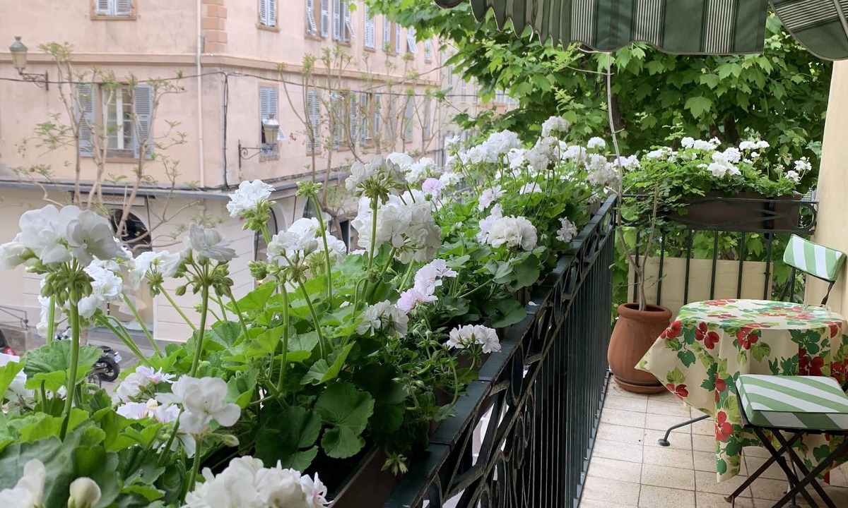 Bastia Hotel | Hotel Central Bastia