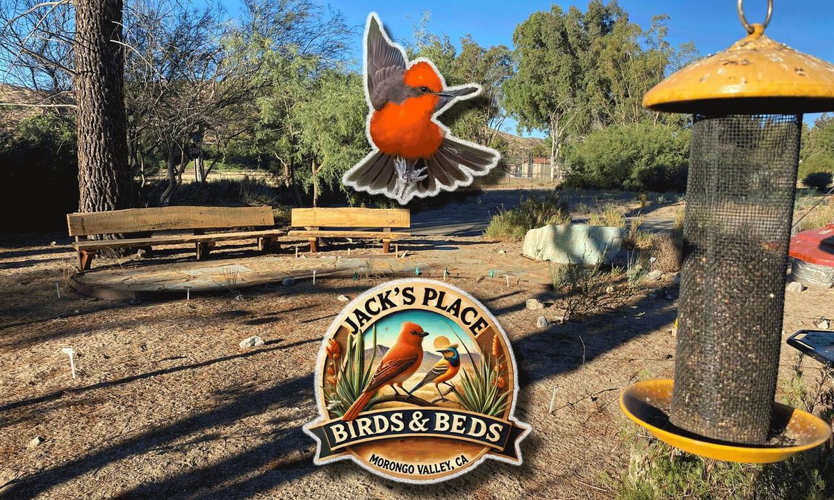 Morongo Valley House | ~(‾▿‾)~ Jack's Place · Birding by Big Morongo