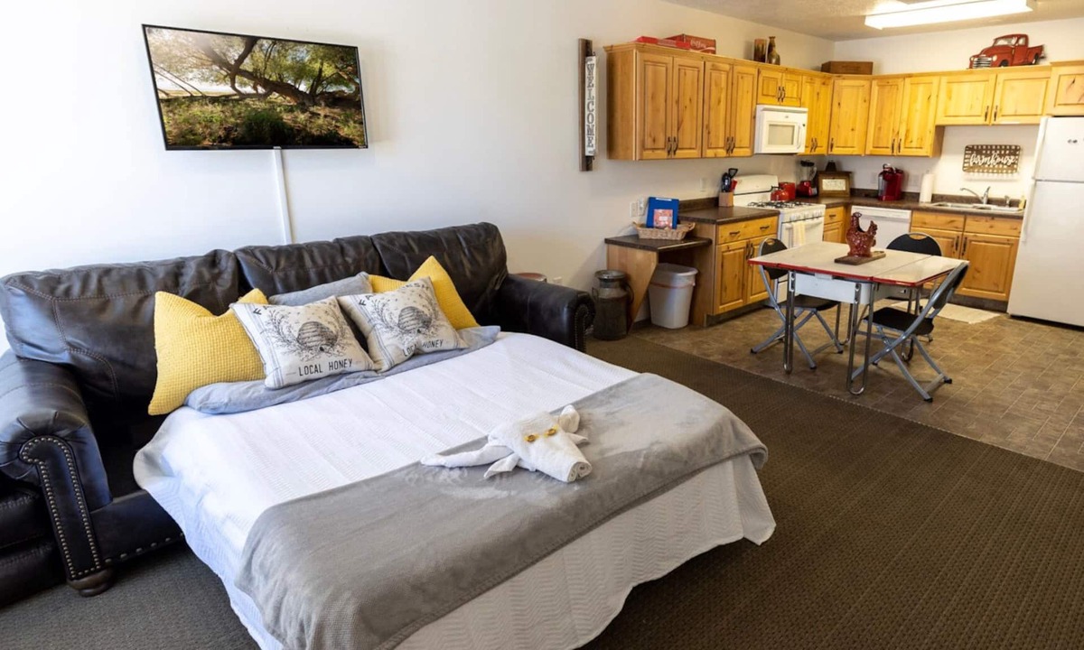Mount Pleasant Apartment | 🤠king studio w/Q sleeper+kitchen+washer/dryer+250mbps wi-fi🥾(15mi)maple canyon