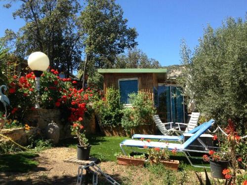 Calvi Ski Chalet | L'oiseau BLEU à CALVI