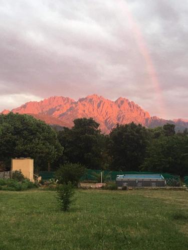 Saliceto Other | Le coin tranquille