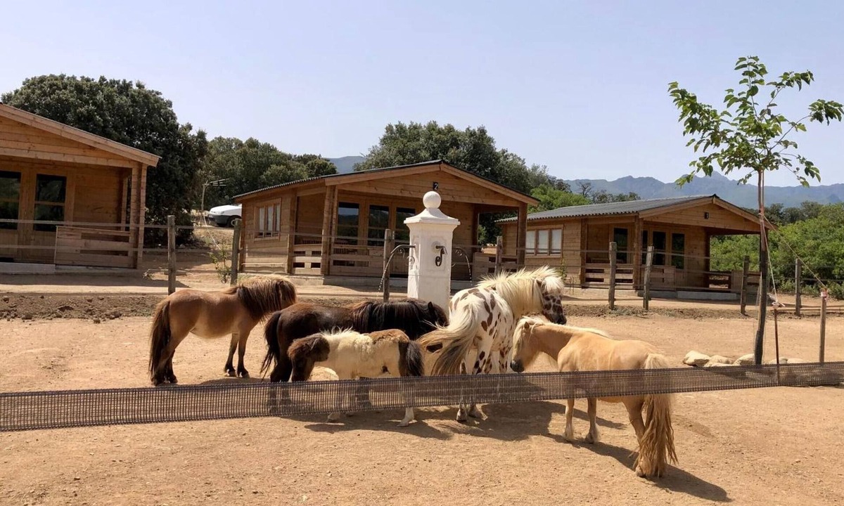 Occhiatana Bed & Breakfast | 'Les Chalets De Tesa' with Mountain View, Wi-Fi, and Air Conditioning