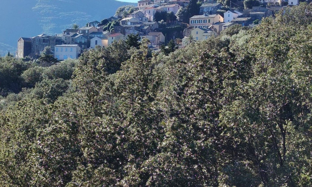 Rogliano House | Macinaggio Vacation Home, 5 Minutes from the Beach
